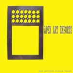 WDN MIRROR FRAME